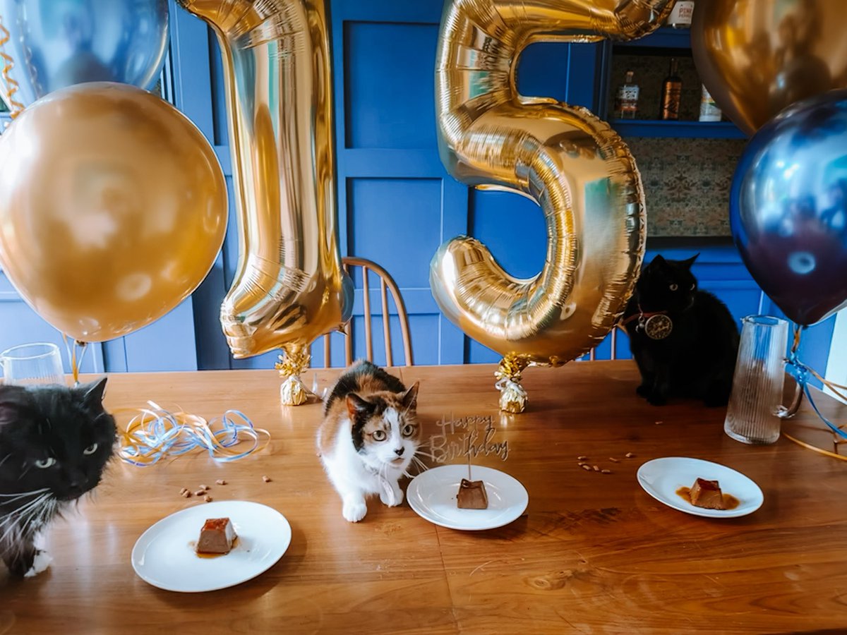 SharAugust's tweet image. Happy 15th birthday to my wonderful Teenie! No general election is going to stop me throwing a party 🥳