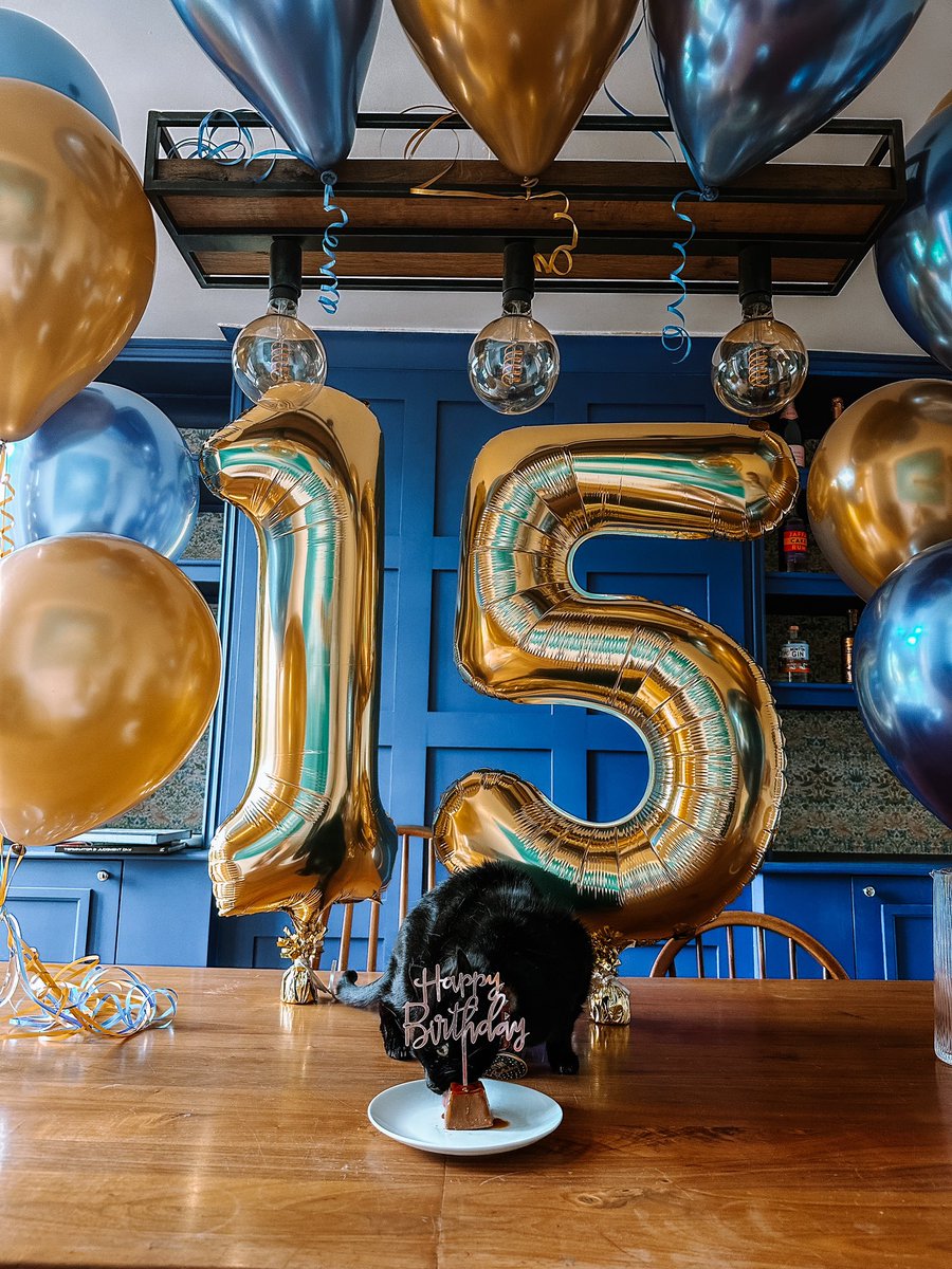 SharAugust's tweet image. Happy 15th birthday to my wonderful Teenie! No general election is going to stop me throwing a party 🥳