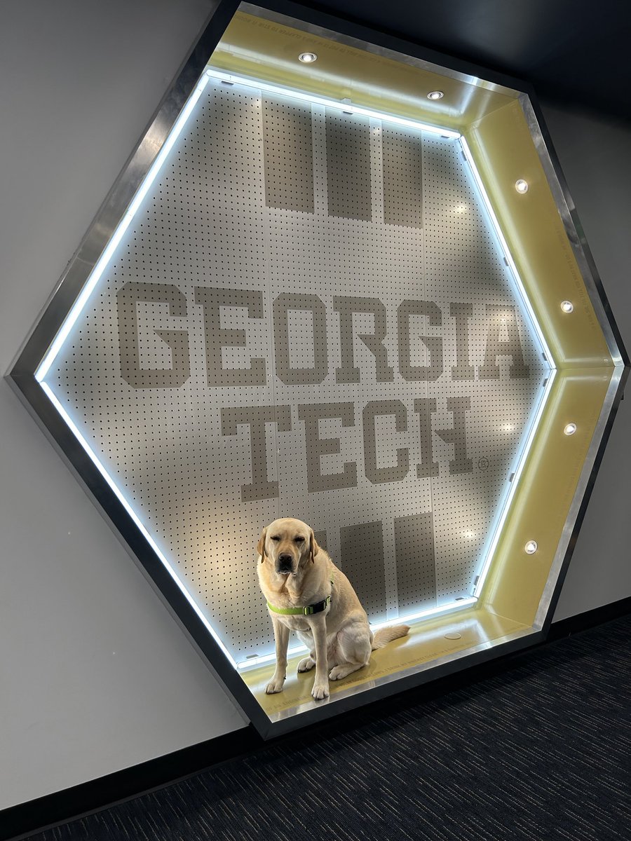 Nell Fortner (@nellonwheels) on Twitter photo Hello from <a href="/simonsezpleaze/">Simon Fortner</a> to all the 2026’s that r experiencing their first official day of recruiting!! Enjoy the process! #woofwoof @gtwbb #stingem Hello from <a href="/simonsezpleaze/">Simon Fortner</a> to all the 2026’s that r experiencing their first official day of recruiting!! Enjoy the process! #woofwoof @gtwbb #stingem