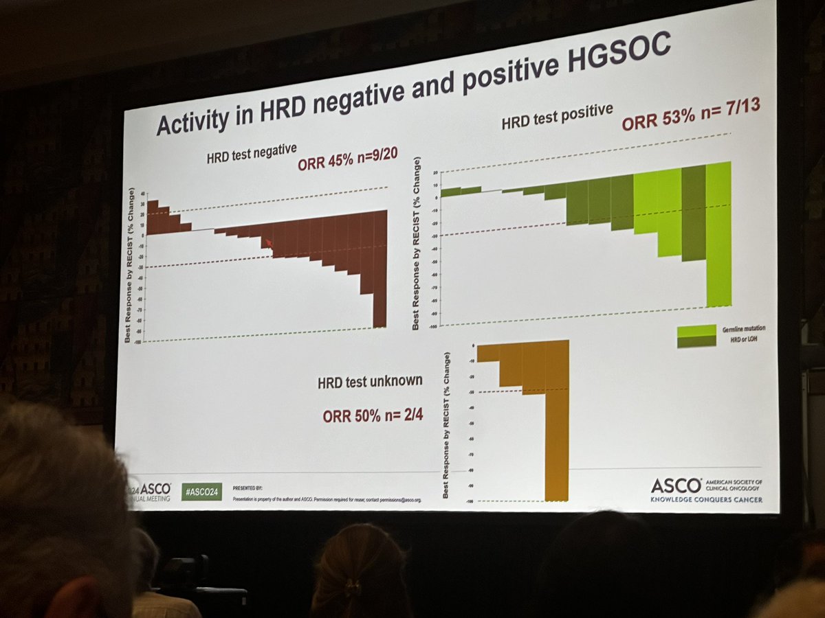 Exciting activity in Platinum Sensitive HGS Ovarian Cancer regardless of HRD! #gynonc #ovariancancer