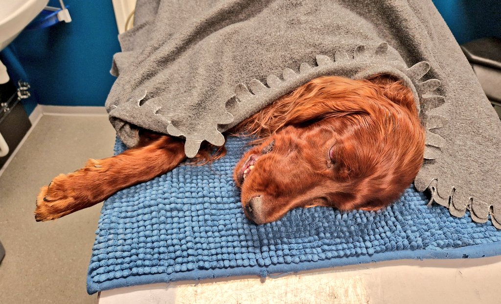 Markus Granlund tweet media