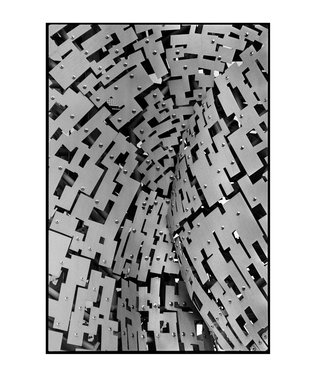 ian0nai's tweet image. Kelpie detail. #35mm #HP5