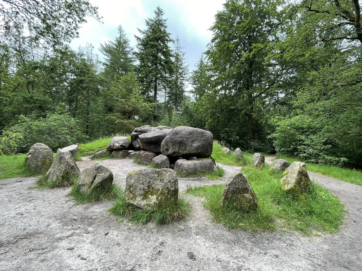IngedeBoer23's tweet photo. The best way to enjoy your Saturday. Riding on your mountainbike through the woods. And finding some beautiful trails and places.🇳🇱 https://t.co/RCXjeX6J8W