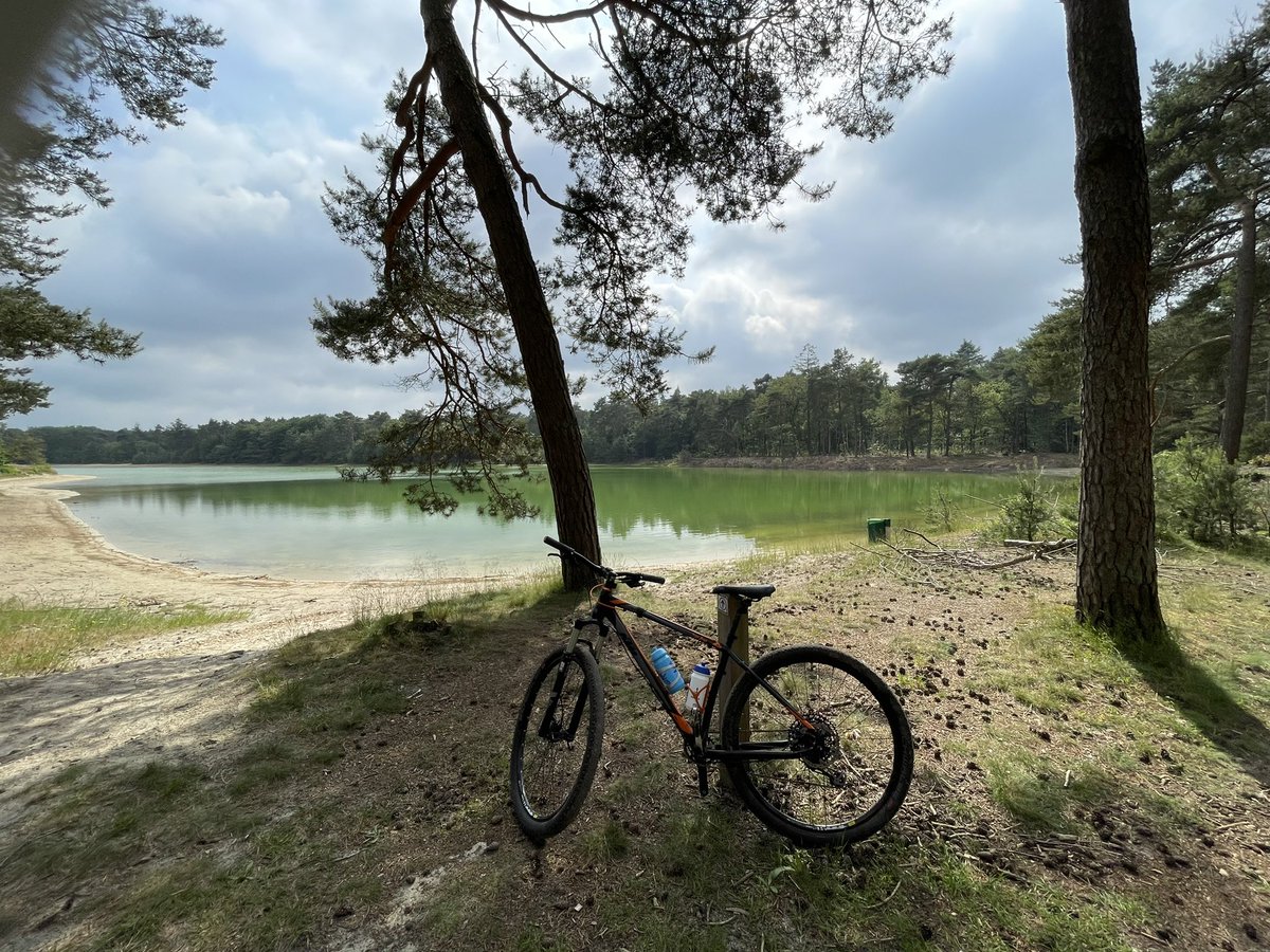 IngedeBoer23's tweet photo. The best way to enjoy your Saturday. Riding on your mountainbike through the woods. And finding some beautiful trails and places.🇳🇱 https://t.co/RCXjeX6J8W
