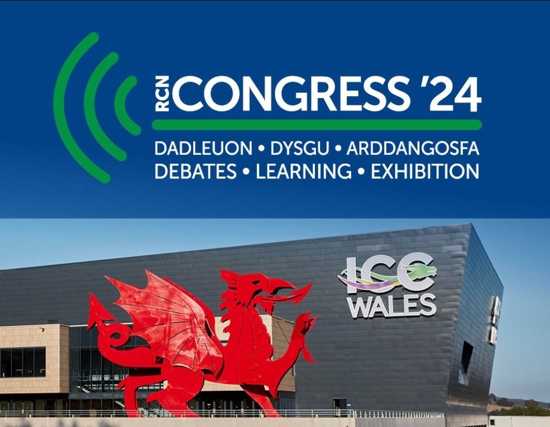 Sarah Everett 💙 tweet media