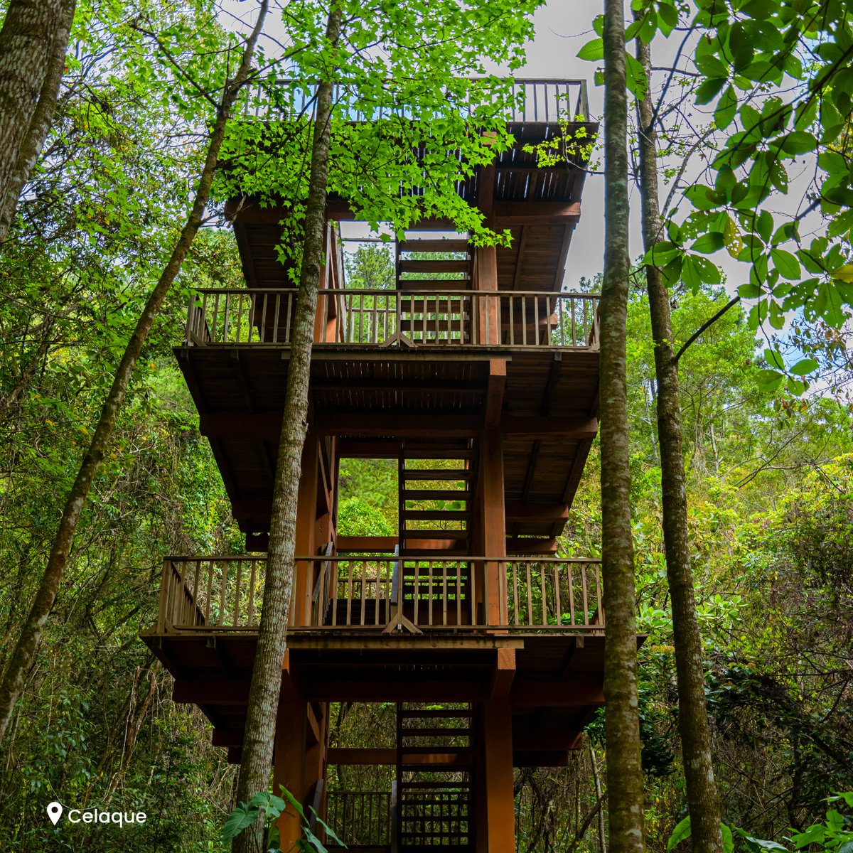 visithonduras's tweet photo. Tu destino es... 𝗖𝗲𝗹𝗮𝗾𝘂𝗲
El Parque Nacional Celaque es una joya natural que te invita a explorar sus maravillas. Hogar de la montaña más alta de Honduras, el Cerro Las Minas, es el destino ideal para los amantes de la naturaleza y el ecoturismo.
#VisitHonduras #Celaque https://t.co/oNSTS27Dha