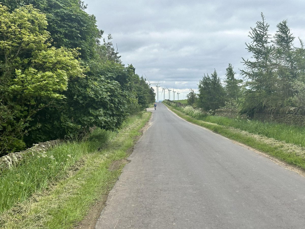 Dan 🐝 tweet media