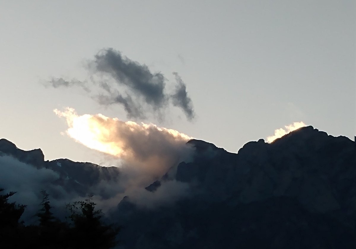 DGCerdeno's tweet image. 