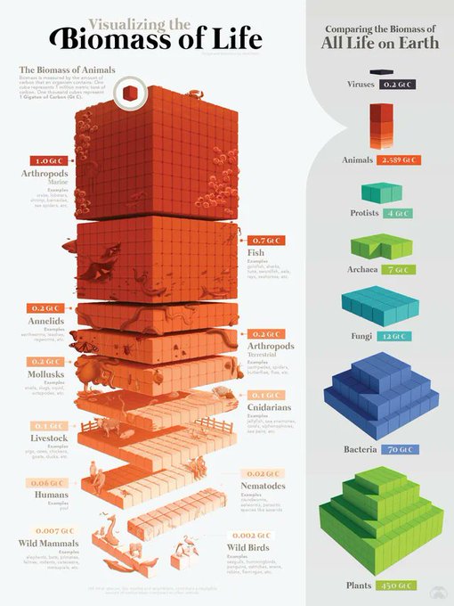 All the biomass of Earth, in one graphic

[✏️ Mark Belan]