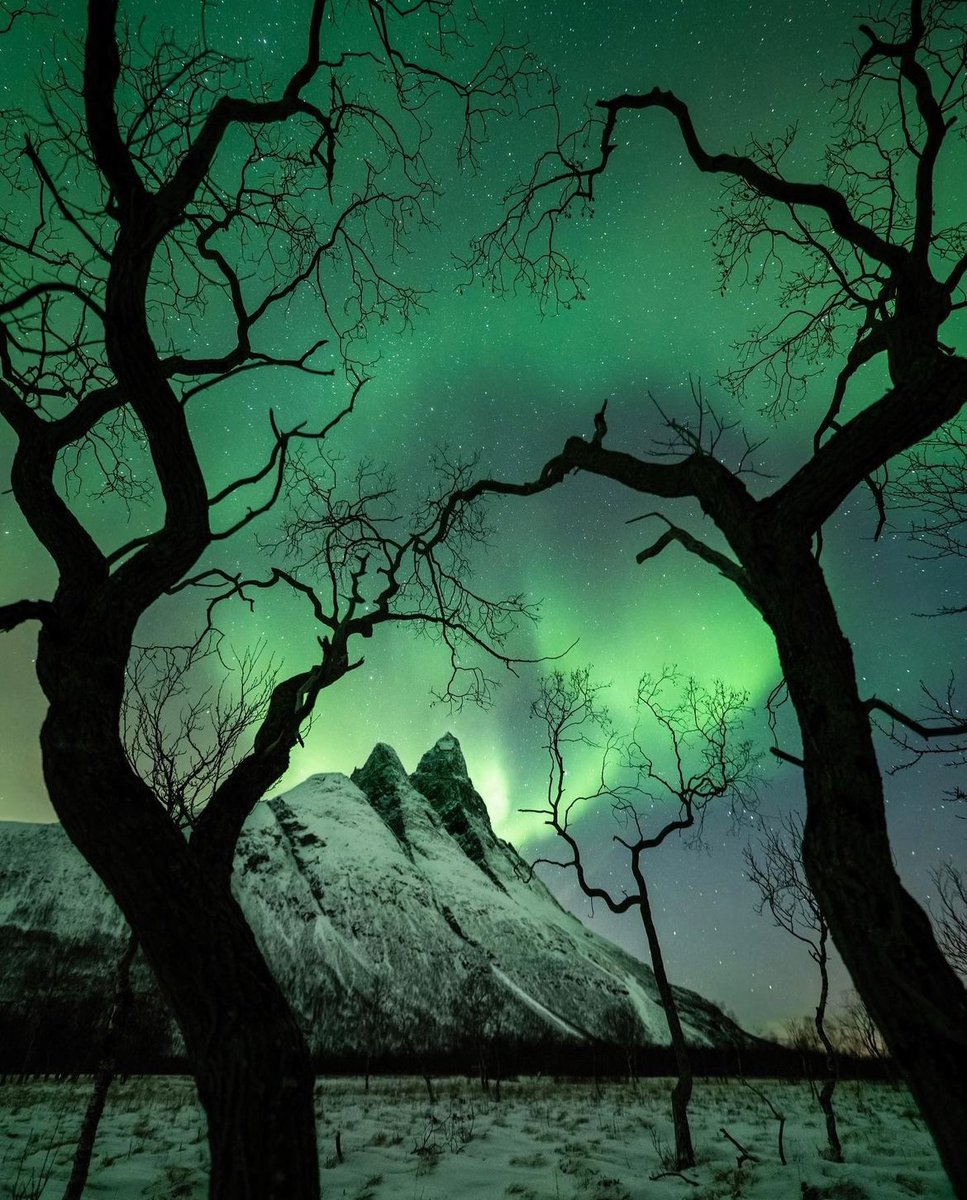 earthcurated's tweet photo. Mystic nights over Norway ✨ https://t.co/1jWNzyqCUS