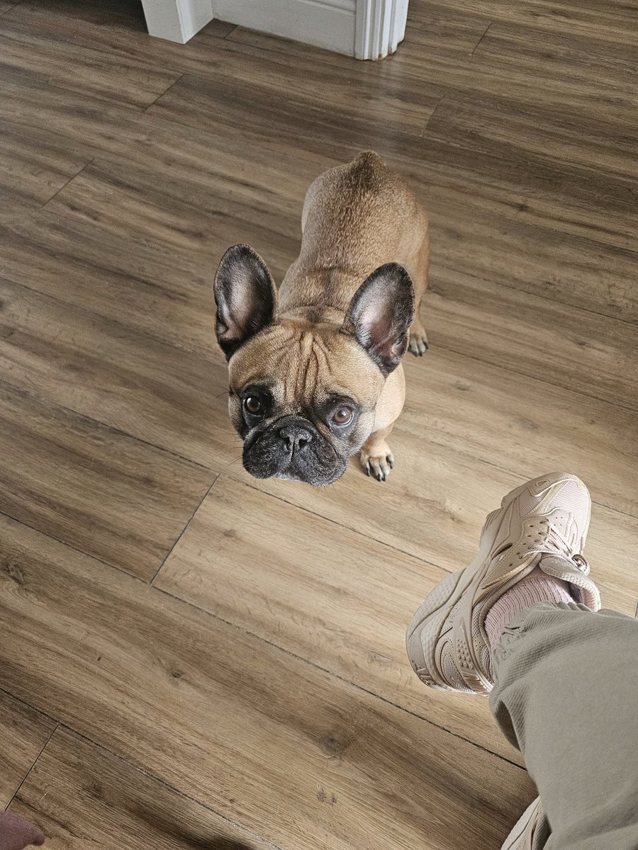 Nikki Acute (@nikkiacute) on Twitter photo 