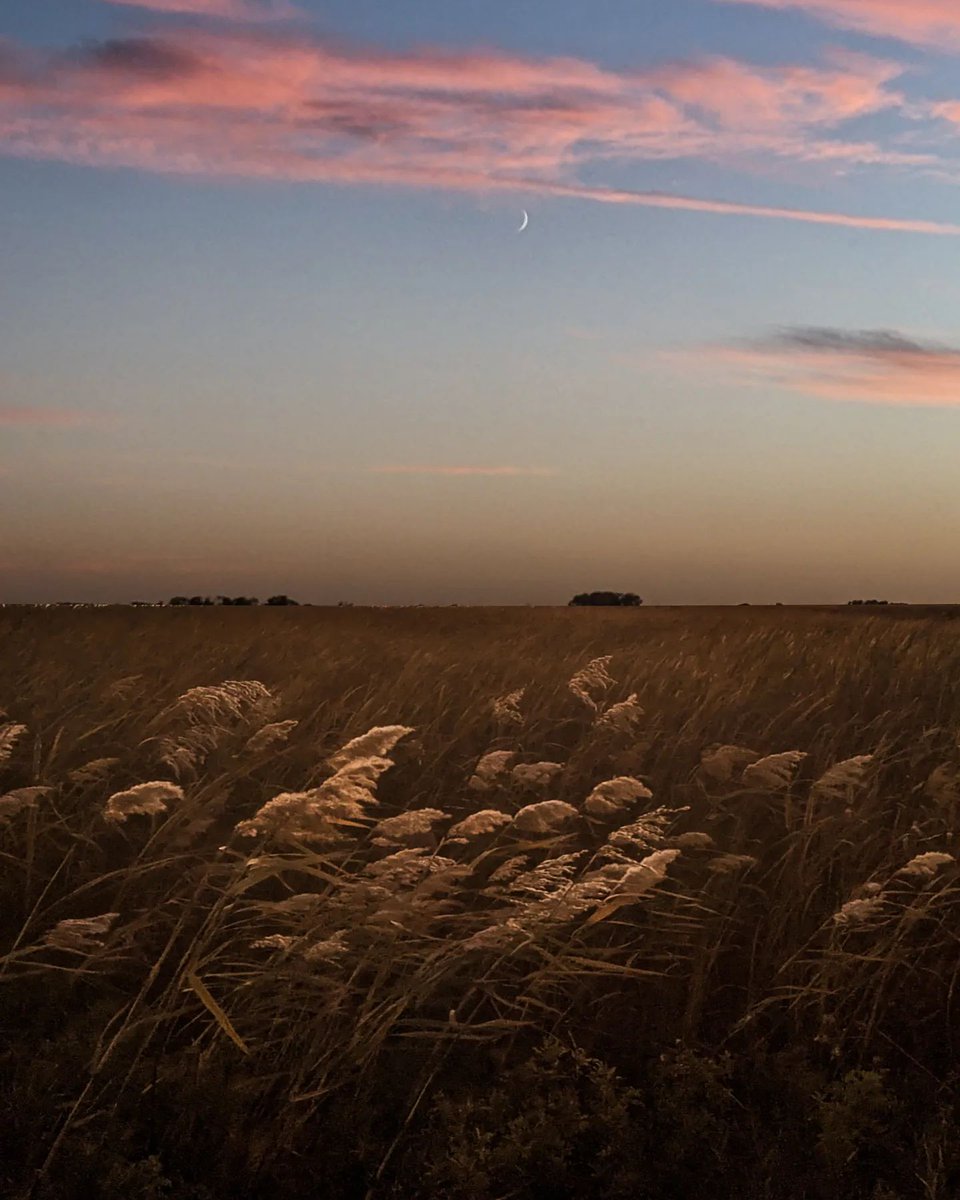 “Anyone can love the mountains, but it takes a soul to love the prairie.” - Willa Cather #NationalPrairieDay  

📸 : @paigeeewestt