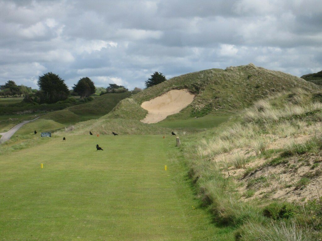 BestPublicGolf.AI tweet media