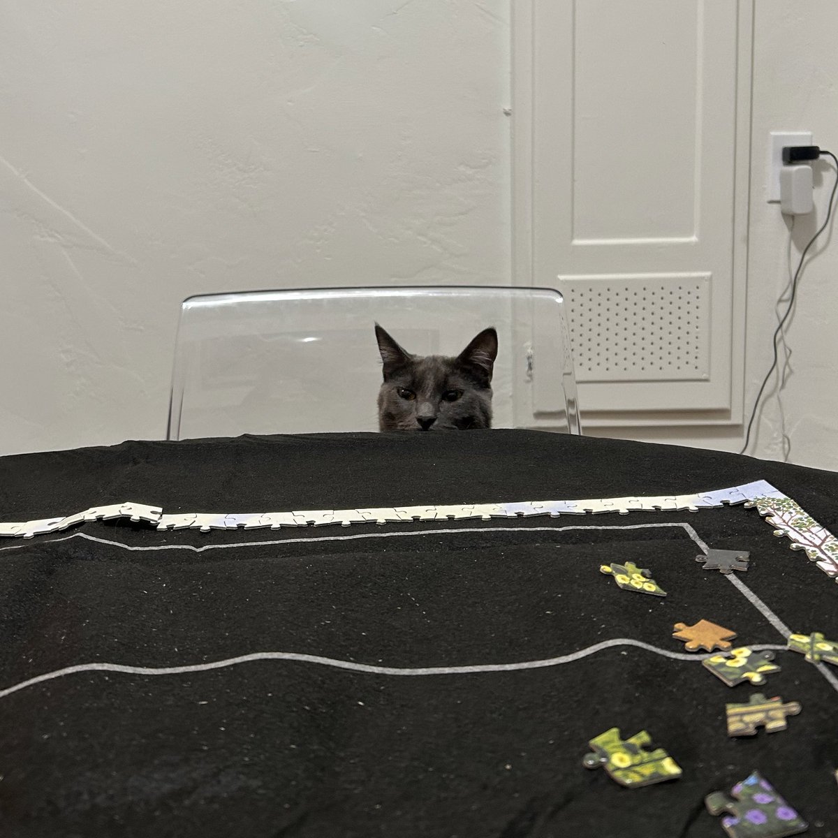love____lasso's tweet photo. im trying to do this puzzle and he keeps destroying it i hate him https://t.co/vT7IrKqlSU