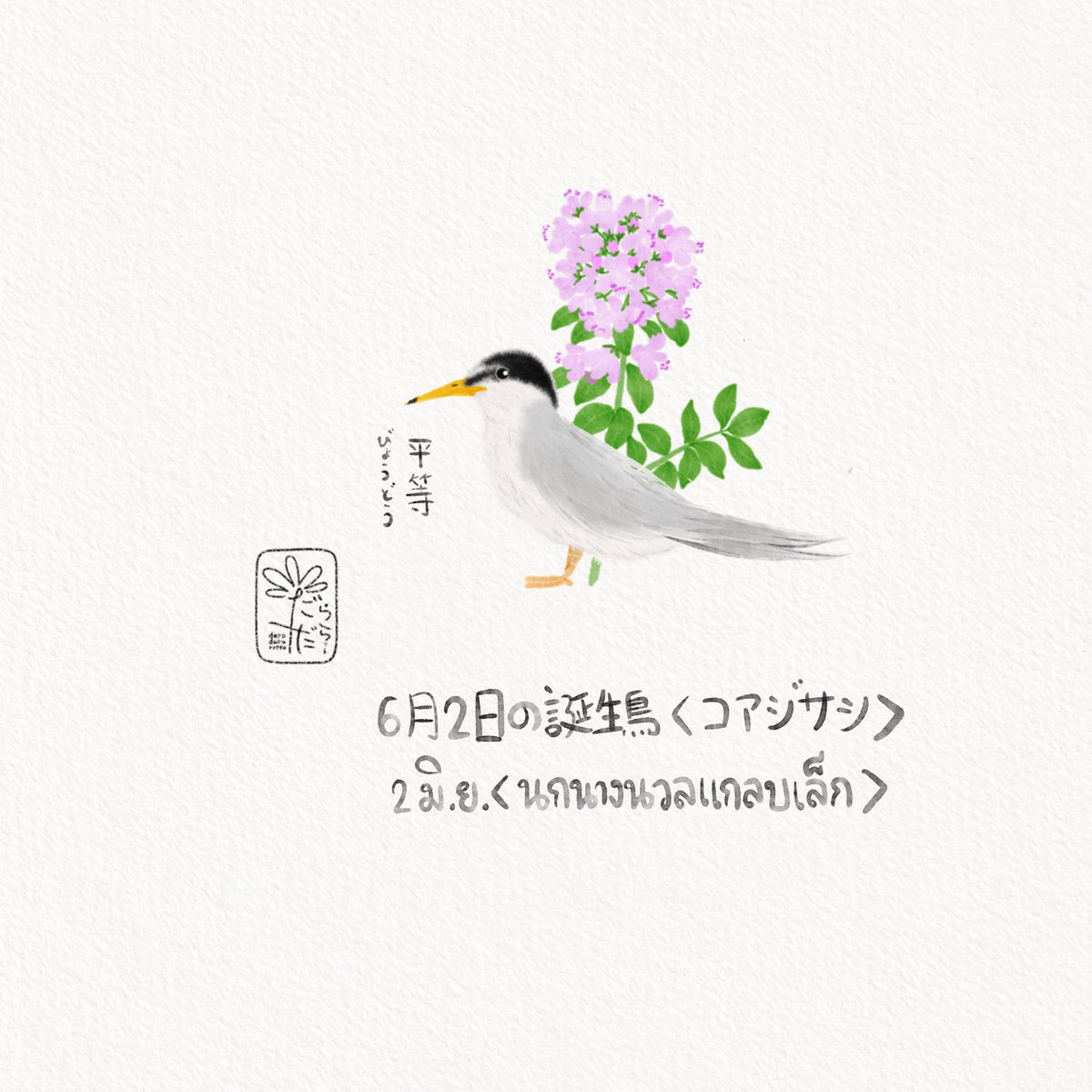 daradaRatto17's tweet photo. นกวันเกิด 2 มิ.ย."นกนางนวลแกลบเล็ก”
"ความเสมอภาค"
6月2日"コアジサシ"
"平等(びょうどう)”
June 2nd"Little tern”
"Equality"

ดอกไม้วันเกิด 2 มิ.ย. “ไธม์”
"ความกล้าหาญ”
6月2日"タイム"
"勇気"
June 2nd"Thymes"
"Courage"

#Rattowith366days
#Rattoinjune https://t.co/i3xYyYMdlr