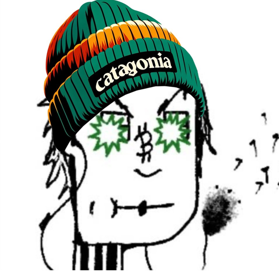 catagoniarune's tweet photo. @Mrk_8_ How about trying on CATAGONIA•COIN it looks real good on you. https://t.co/NWDch6pST2