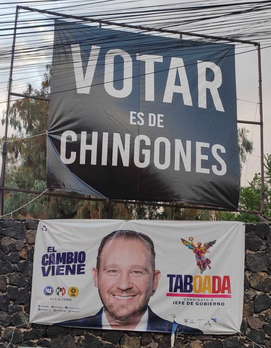 Mau_Vida's tweet photo. ¿Sí o No?
👇🏼 https://t.co/fxPy1KDZgO