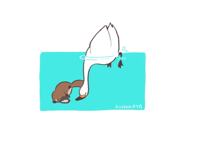 カモノハシと