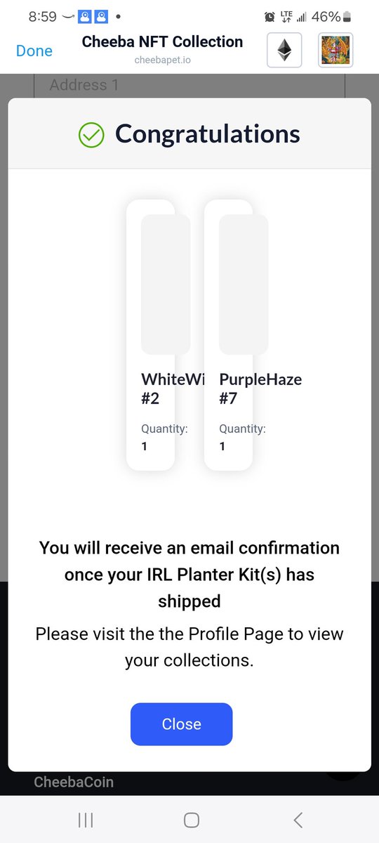 _TheSubie_'s tweet image. Claimed my Planters! @CheebaPet #Cheebapet LFG!