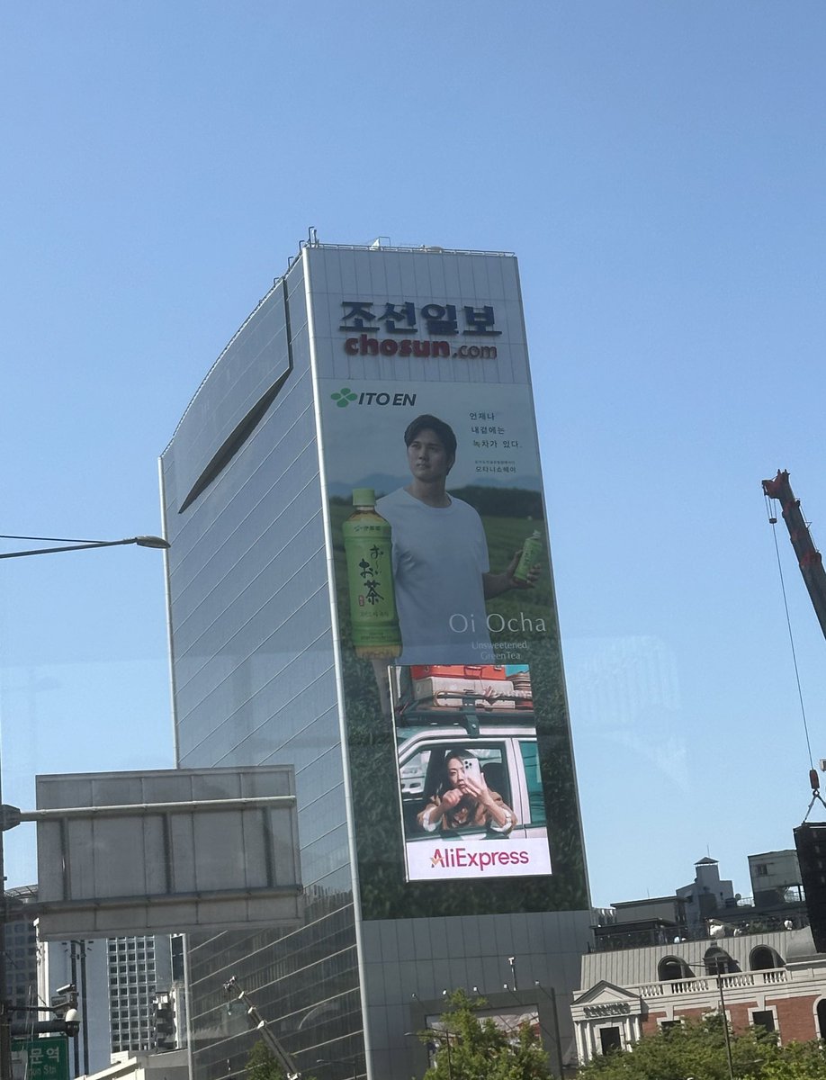 조선일보 건물에 오타니 대문짝 만하게 붙어있음
전 제가 잘못 본 줄 알았어요.