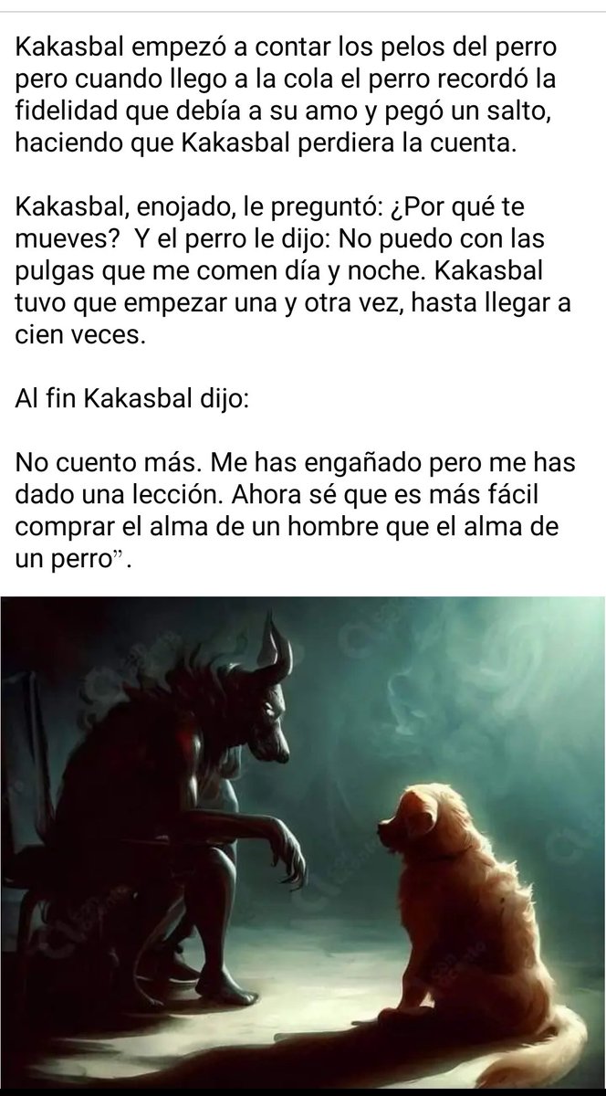 LicAnimalista's tweet photo. Lealtad como la del perro imposible encontrar en los humanos https://t.co/MuI5FXv2E7