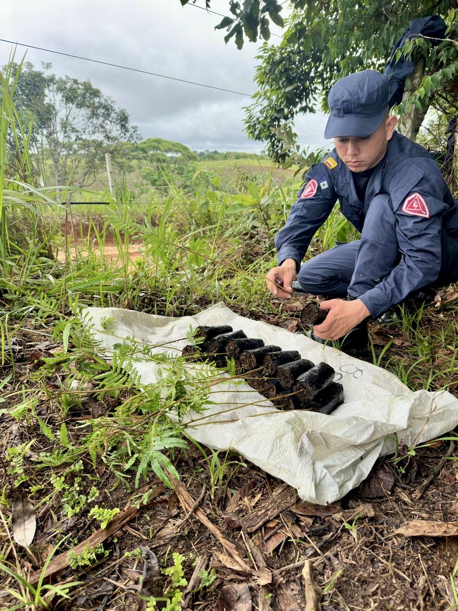 COL_EJERCITO's tweet photo. #PlanAmazonía |🌱1.900 árboles de Cedro, Yopo, Guamo y Matarratón, fueron sembrados por soldados del Batallón de Ingenieros de Desminado Humanitario N°1 y habitantes de la vereda La Paujilera, aportando a la conservación de recursos naturales en La Montañita #Caquetá. https://t.co/TsGVLog3cw