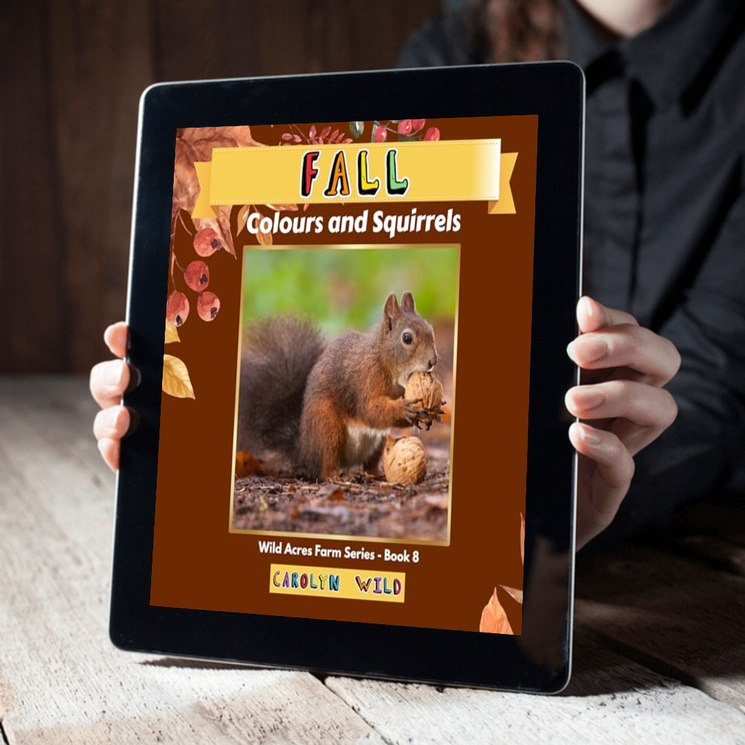 quotesasimage's tweet photo. A delightful picture dictionary adds an extra layer of fun for young readers! Read "Fall: Colours and Squirrels" now. #Squirrels #FarmSeries #Illustrations #AutumnAdventures #KidsBooks  @WildAcresBooks Buy Now --> https://t.co/hsAaszS0X4 https://t.co/FWJ02ku97i