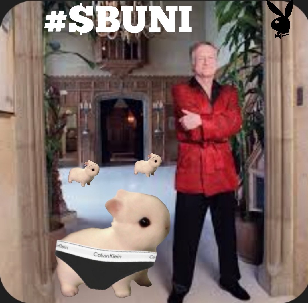 SOLANA MEME FAN tweet media