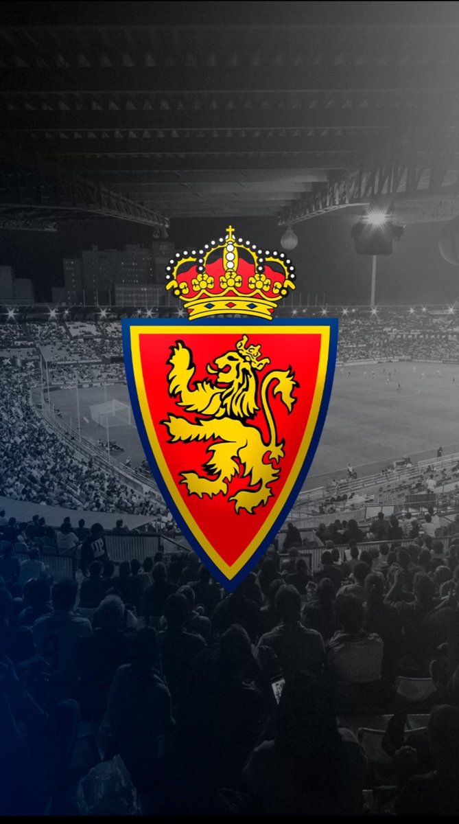 Dani Zierzo🎙️ tweet media