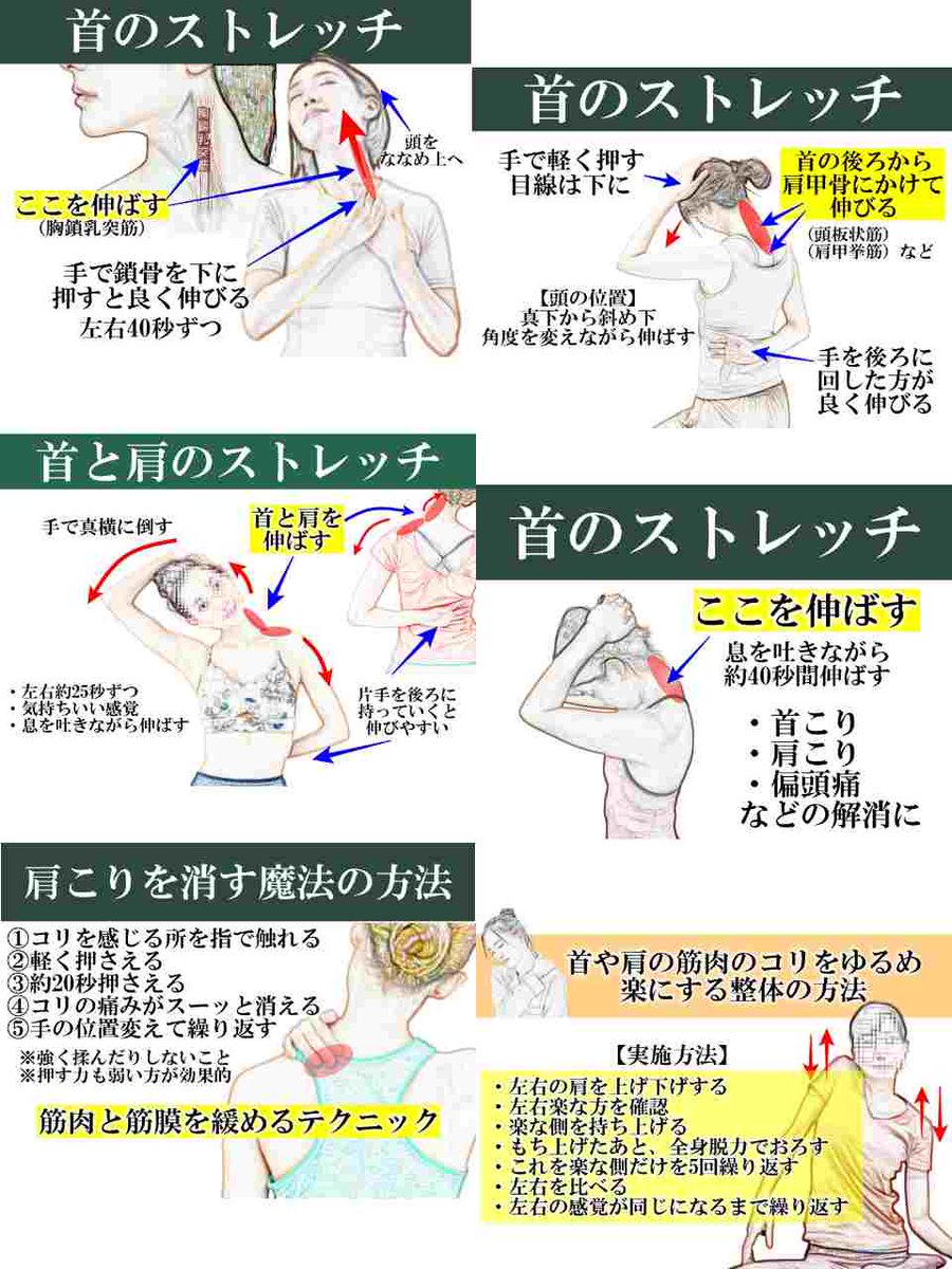 topi3001's tweet photo. 超超超超重要！首まわりの筋肉は、日常生活のガチで影響を及ぼします。首こり、肩こりだけでなく、「偏頭痛」「ストレートネック」「視力」「頸椎ヘルニア」「４０肩」「猫背」「巻き肩」「メンタル」「ストレス」「疲労」「だるさ」につながる。力技で伸ばすのではなく、心地よさを大切にしてください。本気で柔らかくしたい人におススメの秘訣とは…