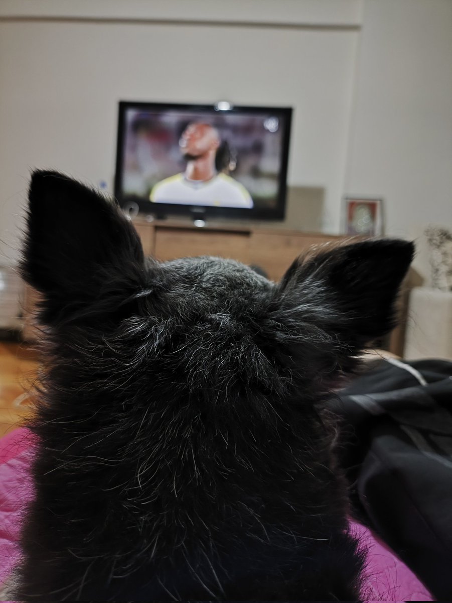 #REALMADRİD
Hala Madrid