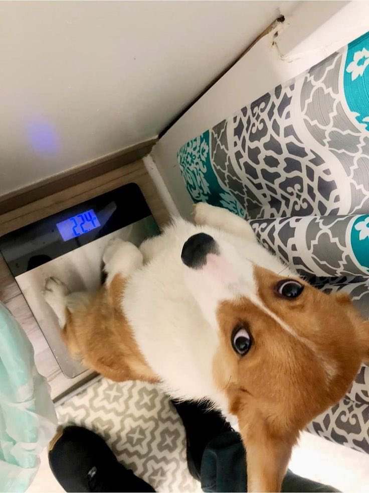 twaniimals's tweet photo. https://t.co/JngznQVcGS