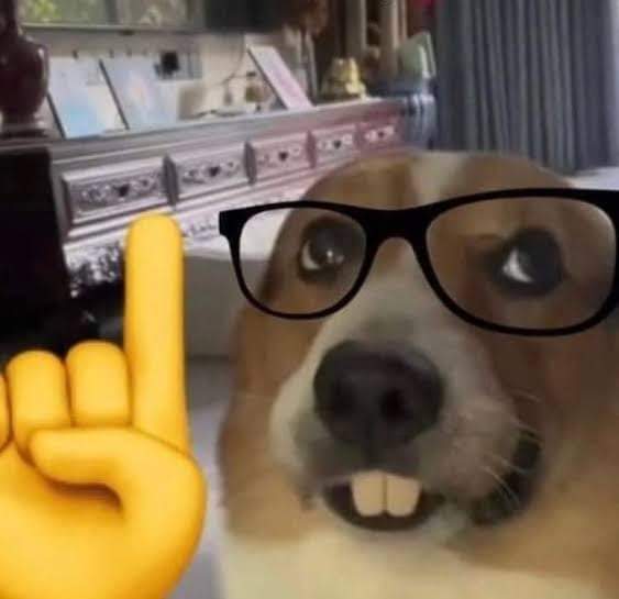 Out Of Context Gráficotv (@nocontextgrafic) on Twitter photo 