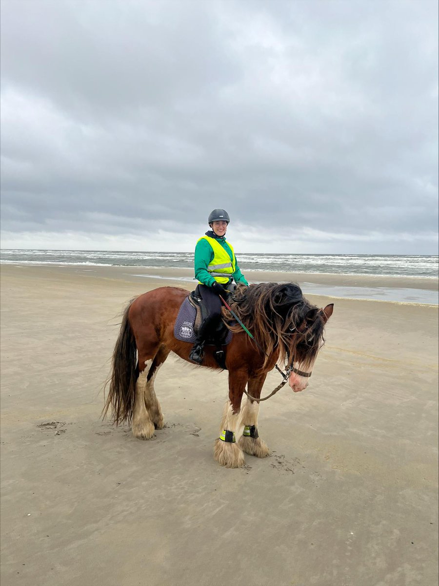 NWobbes's tweet photo. Ik ❤️ Terschelling en de zee. https://t.co/GLkp5sdGke