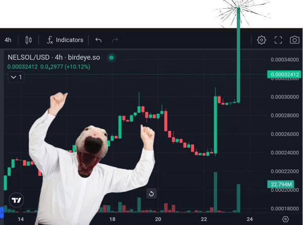 <a href="/barkmeta/">Bark</a> if you see this tweet, and if you buy $NELSOL directly, you are immediately gonna get rich. <a href="/WalterOnSol/">Walter</a>