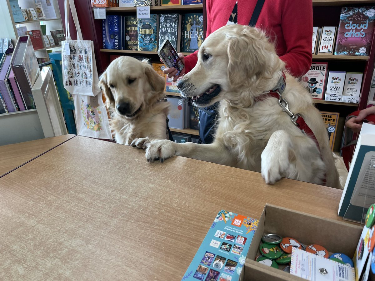 schools_books's tweet photo. “What did you choose?” “@vashti_hardy North and the Only One!” Two gorgeous visitors to @KenilworthBook this afternoon!!! #dogsofX #bookshopdogs https://t.co/bdkDxm6I2M