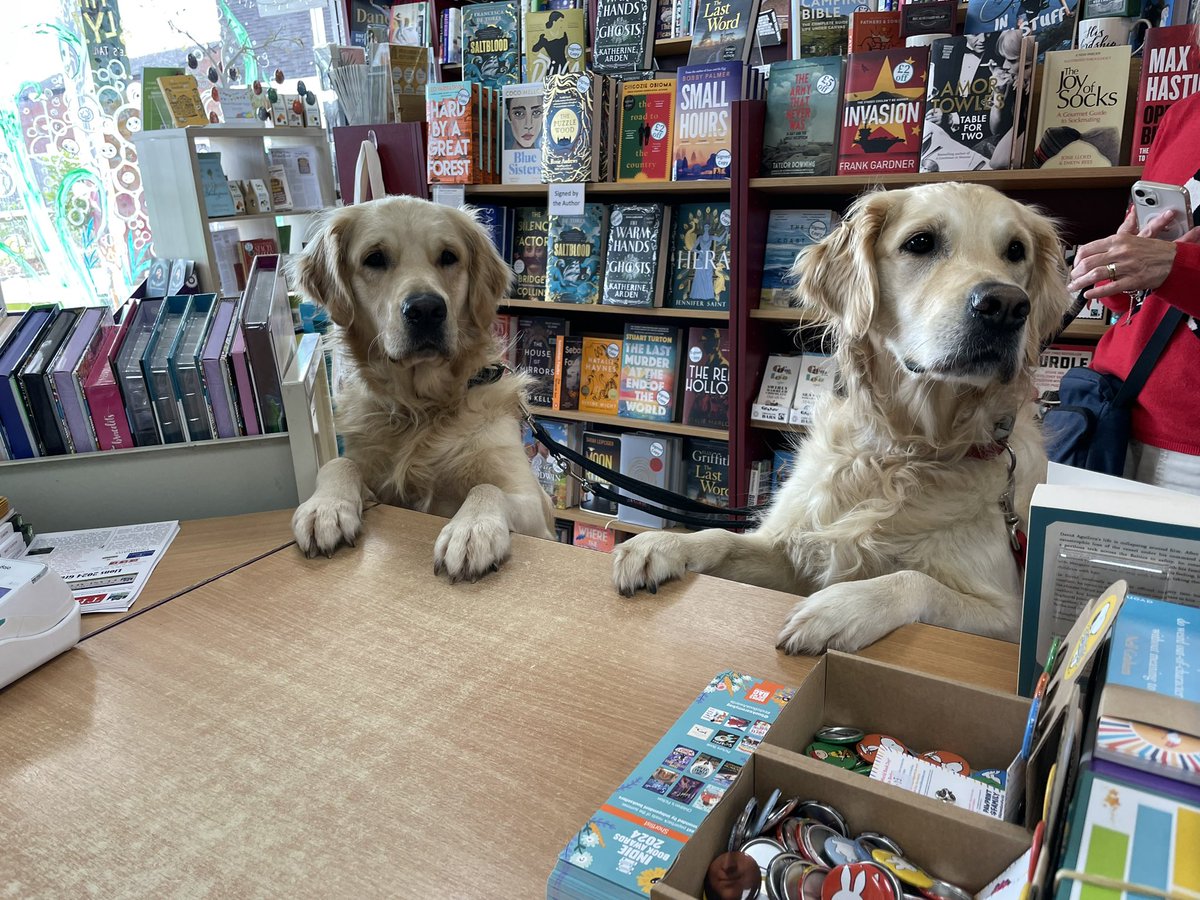 schools_books's tweet photo. “What did you choose?” “@vashti_hardy North and the Only One!” Two gorgeous visitors to @KenilworthBook this afternoon!!! #dogsofX #bookshopdogs https://t.co/bdkDxm6I2M