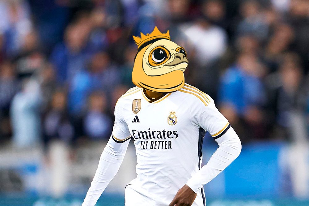 $GODLEN FISH tweet media