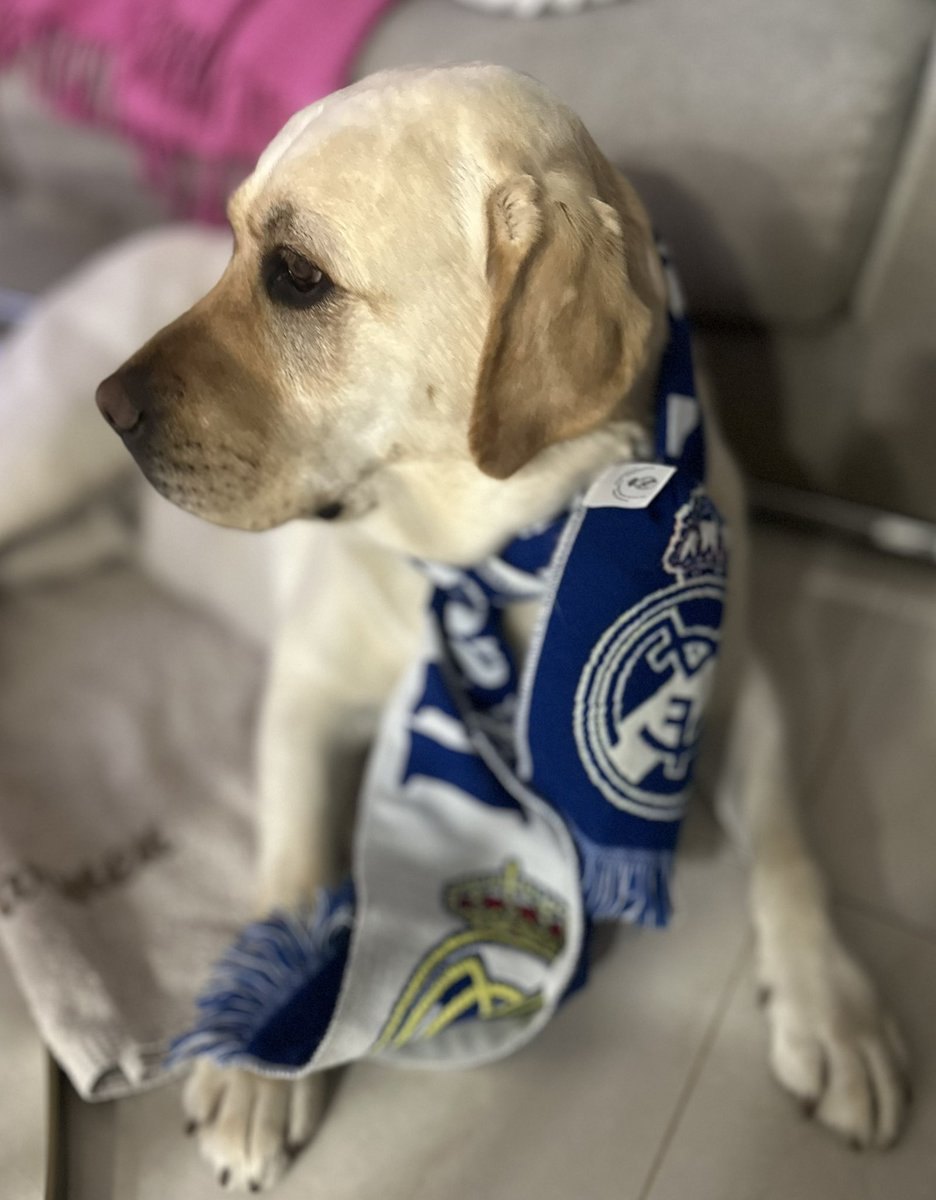 ¡Hala Madrid!
