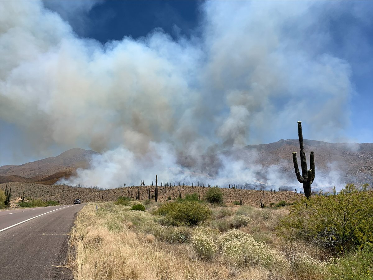 #TontoNF firefighters from Mesa Ranger District have responded to a wildfire off east of State Route 87 on Forest Service Road 11 near mile marker 210. Numerous resources are engaged in fire operations. Aerial resources have been ordered.