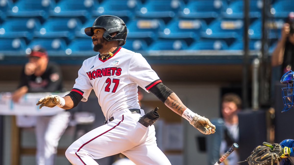 Lynchburg Baseball tweet media