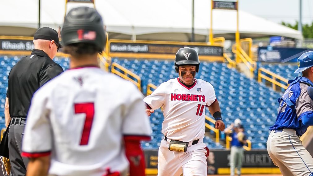 Lynchburg Baseball tweet media