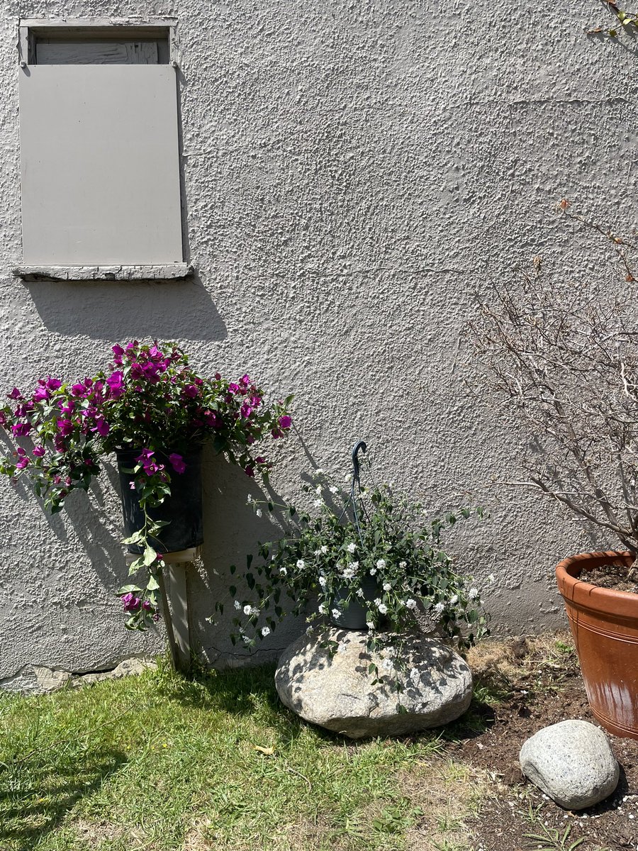 El Verano Ya Llegó!
Oficialmente se abre el Jardín de La Casa