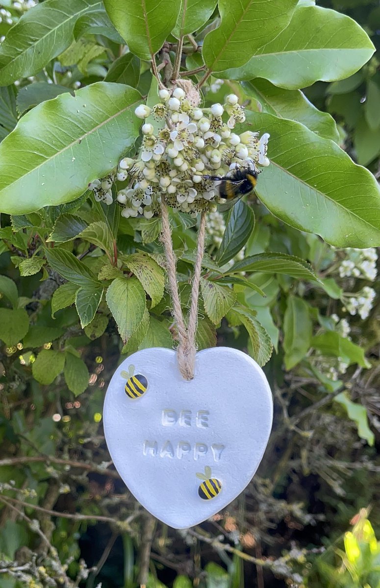 Bee Happy 🐝
Look at who came to say hello 😍🐝

Do you have many bees in your garden??

 #mhhsbd #handmade #smallbizuk #smallbusiness #bees #NatureIsBeautiful #nature #beehappy #femalefounder @BuyWomenBuilt #buywomenbuilt