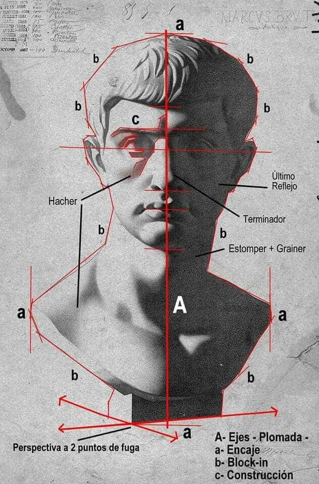 XArtGuide's tweet photo. Lear how to draw before you do anything else in the world of visual arts, Sculptures need to learn how to draw 1st before doing anything else. #basicsofART #Anatomy #draw #drawing #painting https://t.co/I0MFtd1tG7