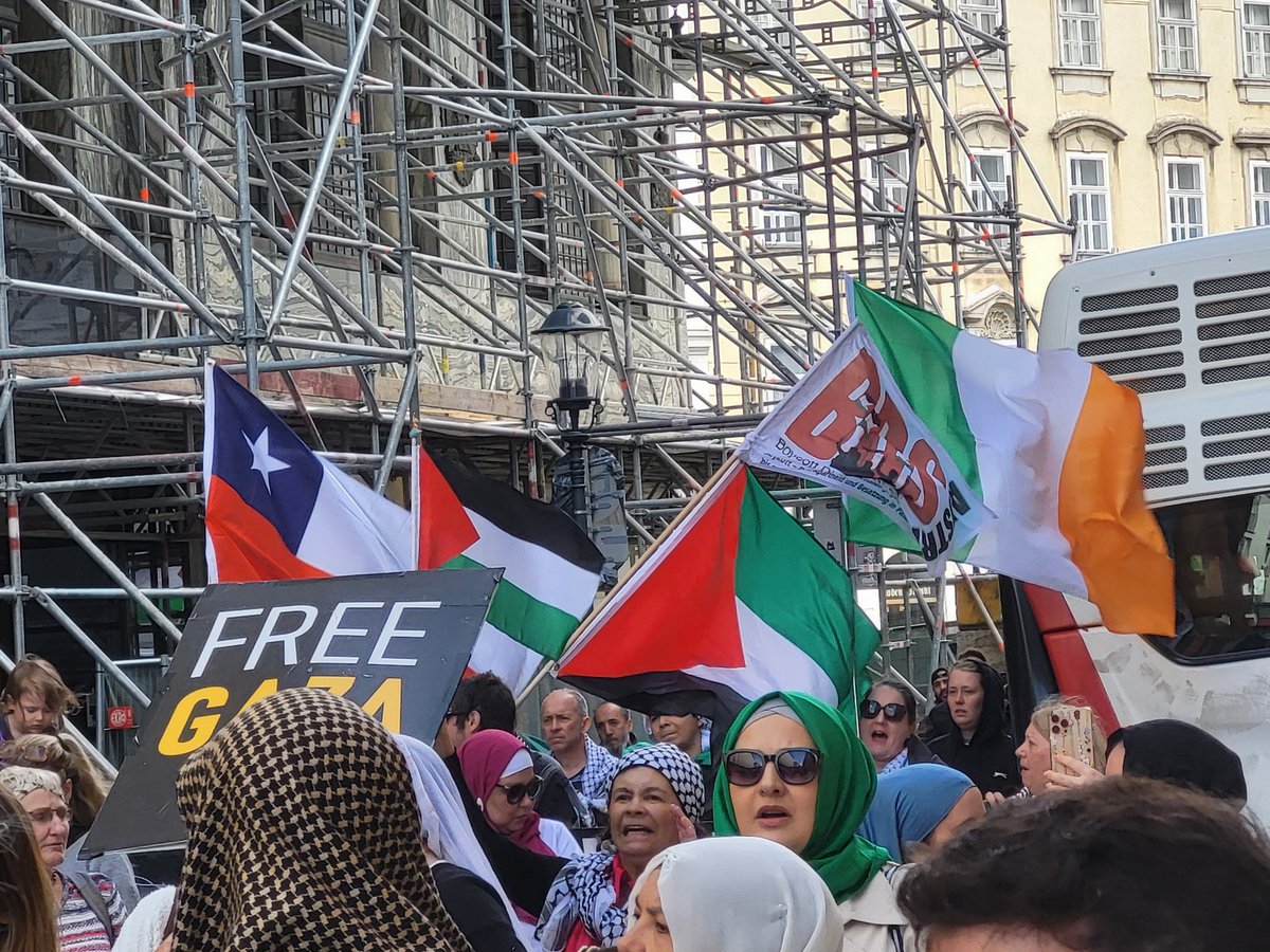 LuisCBarbado's tweet photo. Como cada sábado, salimos a las calles de Viena a exigis el cese del genocidio cometido por Israel. Gentes de todo el mundo. La causa Palestina es la causa de la humanidad. #CeasfireForGaza https://t.co/vdA4zHN3Tm