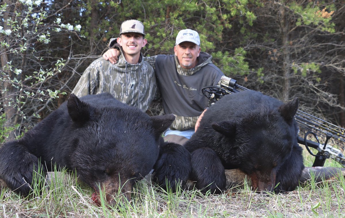 Luke Champnella tweet media