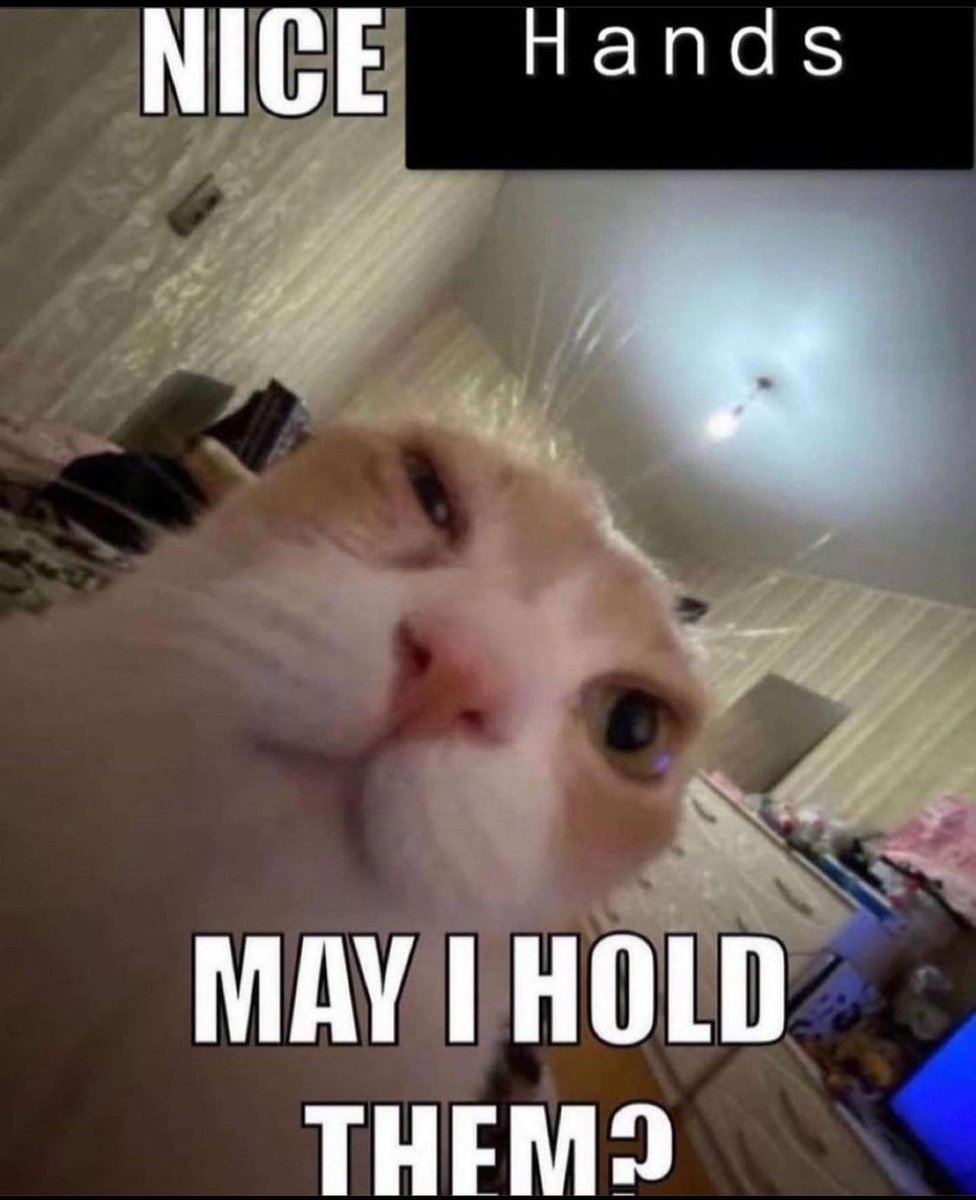 ｢ N3.r00 / N3RO ｣ : AI VTUBER 💾 (@n3r0_net) on Twitter photo 