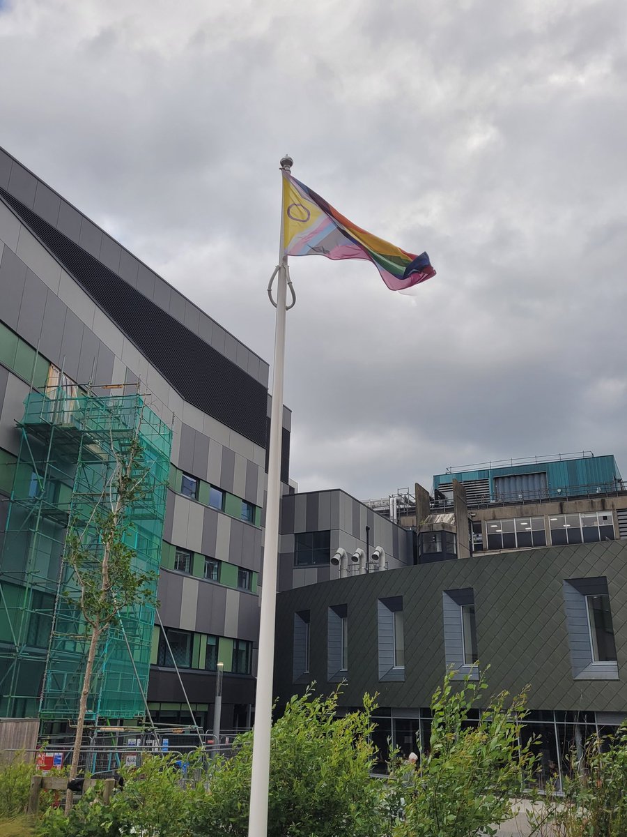 ConnorCeri's tweet image. As Pride month kicks off today, we raised the Progress Pride flag outside @UHSFT @SotonChildHosp yesterday showing our support and solidarity for our staff, patients, carers and all members of the LQBTQIA+ community. #Pride #WeAreUHS #ProudAlliance