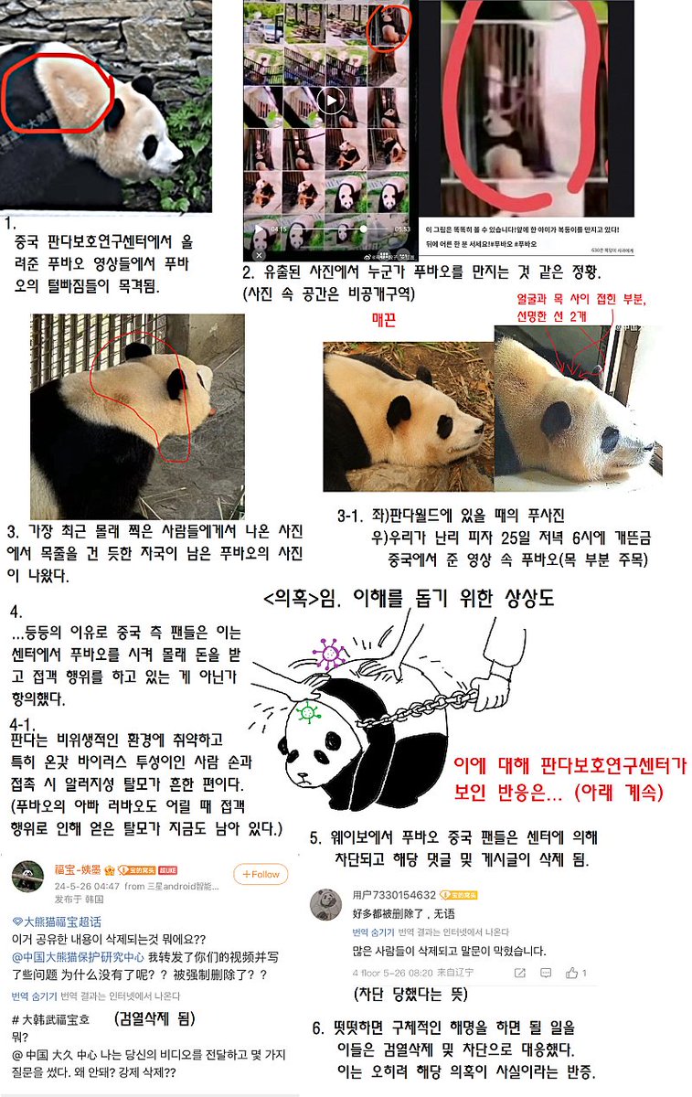 chokongmam's tweet photo. 온갖정성으로키운푸바오
#푸바오접객금지빠른공개
푸바오실시간현재모습알고싶다
#Please_Save_Fubao
우린포기하지않아푸바오사랑해 https://t.co/fg7LHOKA3L
